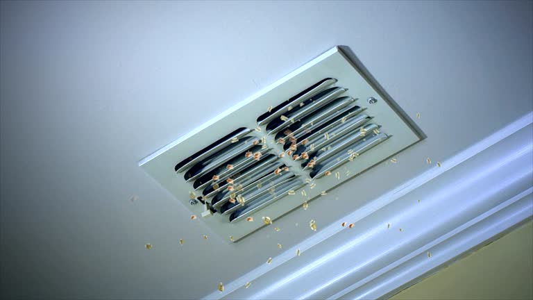 Best Residential Air Duct Cleaning  in Zebulon, NC