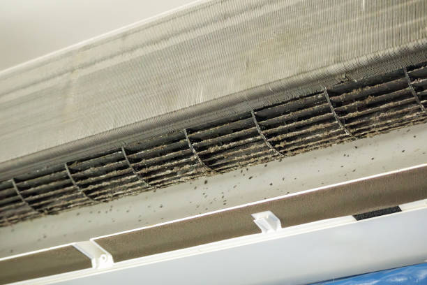 Best General Air Duct Cleaning  in Zebulon, NC
