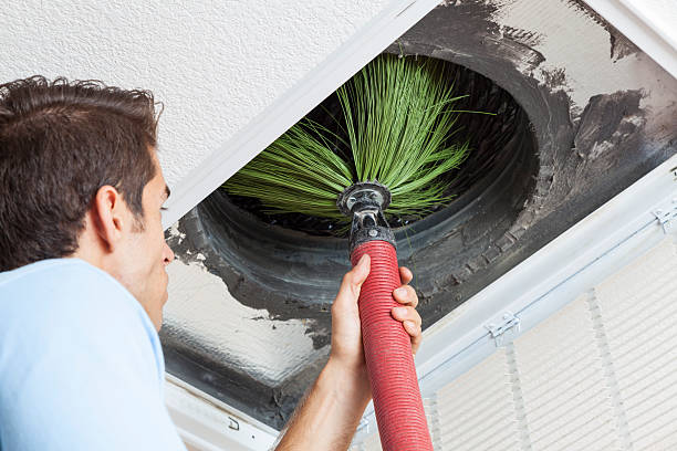 Best Affordable Air Duct Cleaning  in Zebulon, NC